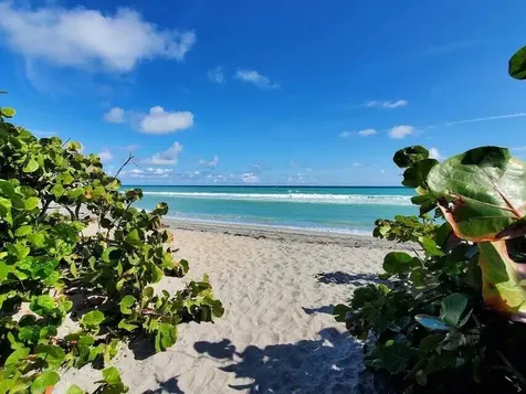 1605 S Us Highway 1 Jupiter FL 33477