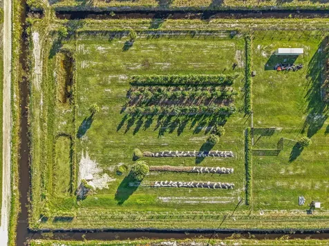 20915 Antoinette Street Loxahatchee FL 33470