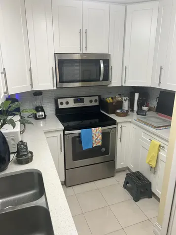 1309 W Frangipani Circle Lantana FL 33462