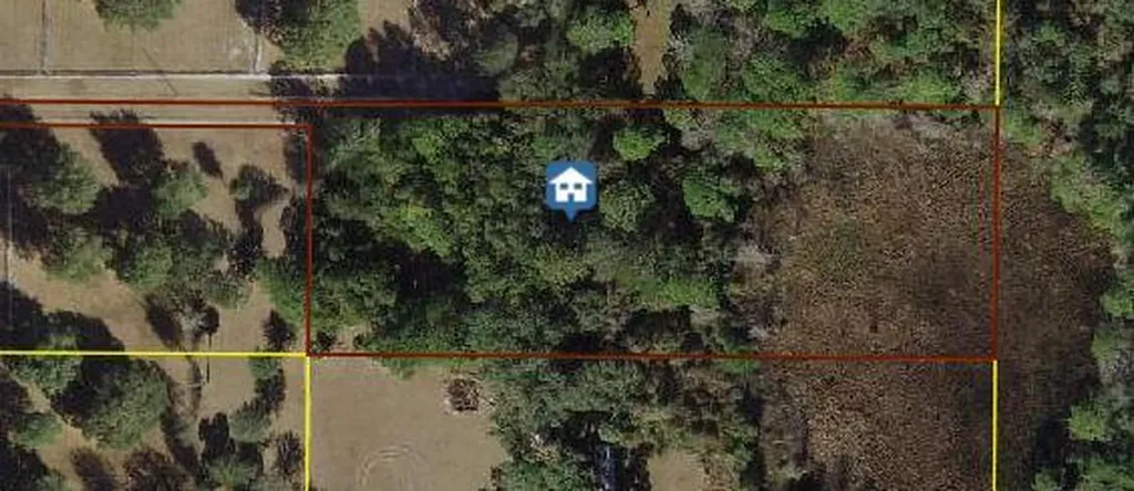0000 NE 130th Court Road Fort McCoy FL 32134