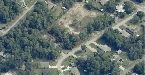 9131 N Bertin Drive Citrus Springs FL 34434