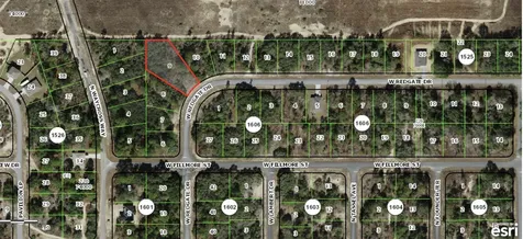 3051 W Redgate Drive Citrus Springs FL 34433