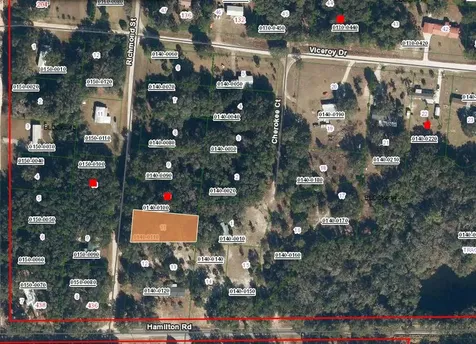 108 Richmond Street Satsuma FL 32189