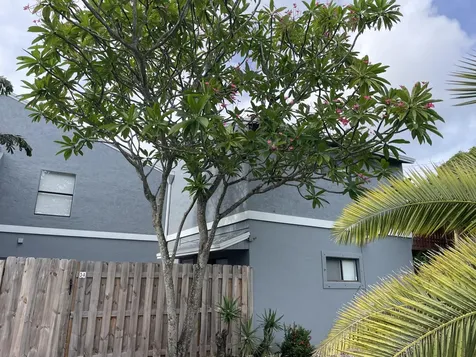 3 Crossings Circle Boynton Beach FL 33435