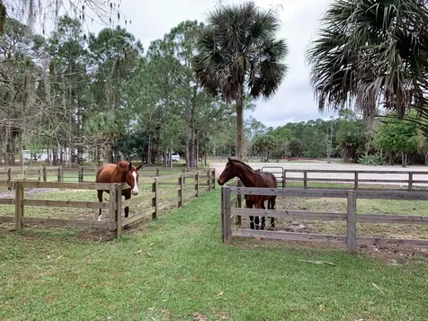 1711 Stallion Drive Loxahatchee FL 33470