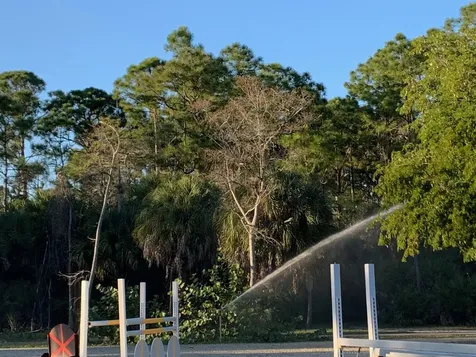 1711 Stallion Drive Loxahatchee FL 33470