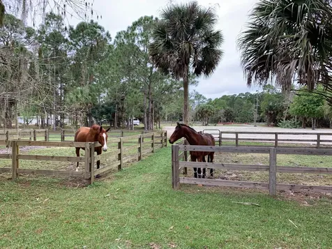 1711 Stallion Drive Loxahatchee FL 33470