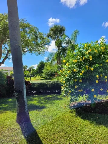 2950 Se Ocean Boulevard Stuart FL 34996
