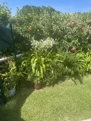 233 Rio Vista Circle Atlantis FL 33462