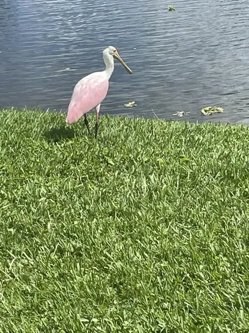 233 Rio Vista Circle Atlantis FL 33462