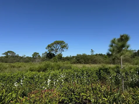 13105 Monte Rosa Court Palm Beach Gardens FL 33412