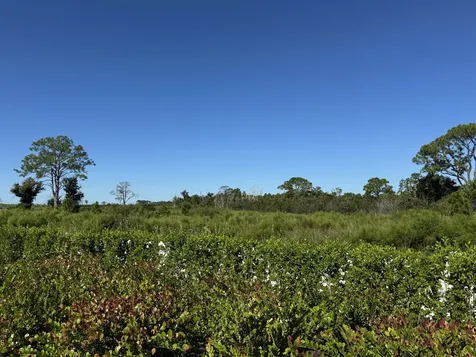 13105 Monte Rosa Court Palm Beach Gardens FL 33412