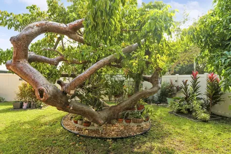 10438 Pippin Lane Royal Palm Beach FL 33411