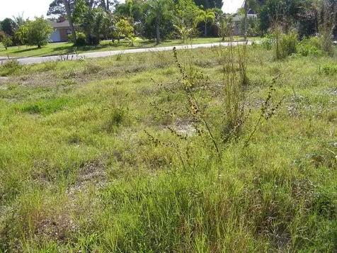 506 NE Oleander Avenue Fort Pierce FL 34952