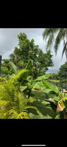 10180 Camelback Lane Boca Raton FL 33498