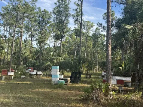 0 County 512 Road Fellsmere FL 32948