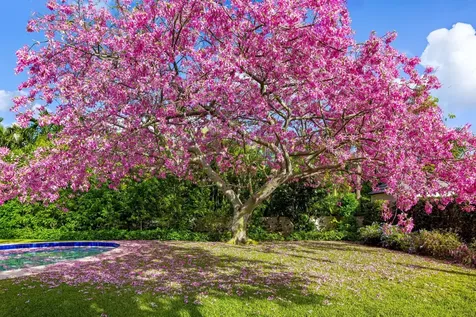 334 Barton Avenue Palm Beach FL 33480