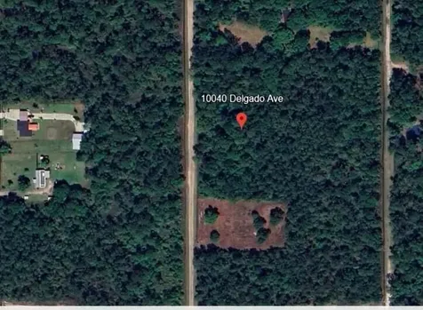 10040 Delgado Avenue Hastings FL 32145