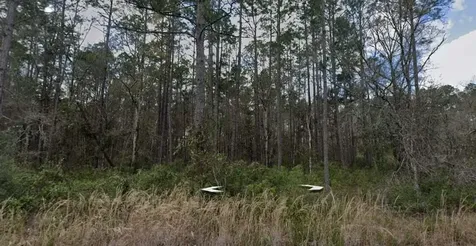 10275 Hennessey Avenue Hastings FL 32145