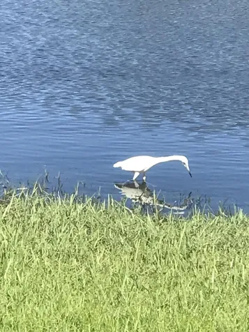 2800 Indian River Boulevard Vero Beach FL 32960