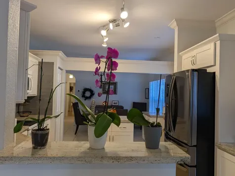 4153 Sapphire Terrace Weston FL 33331