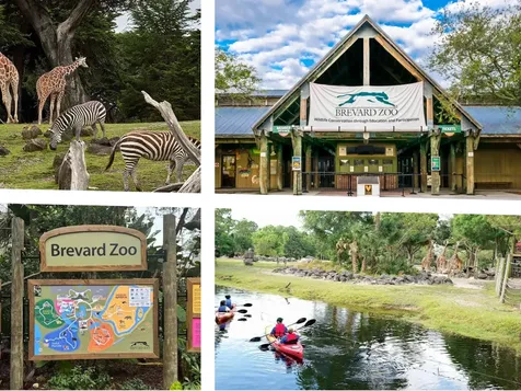 1510 Briscoe Circle Palm Bay FL 32908