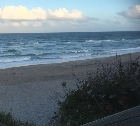 1605 S Us Highway 1 Jupiter FL 33477