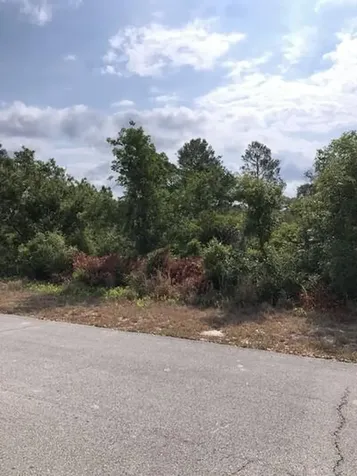 1731 Charleston Street Lake Placid FL 33852