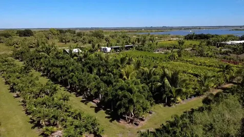 6747 W Carol Street Loxahatchee FL 33470