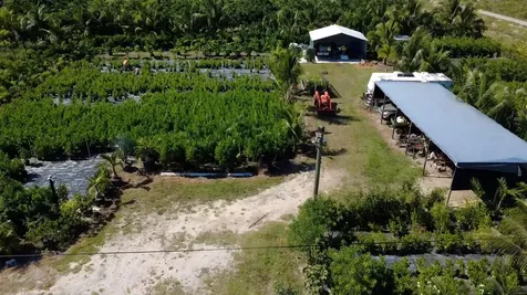 6747 W Carol Street Loxahatchee FL 33470