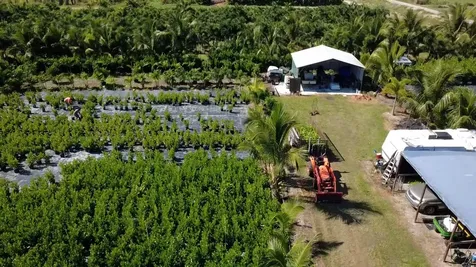 6747 W Carol Street Loxahatchee FL 33470