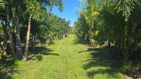 6747 W Carol Street Loxahatchee FL 33470