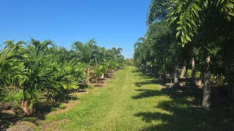 6747 W Carol Street Loxahatchee FL 33470