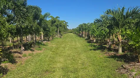 6747 W Carol Street Loxahatchee FL 33470