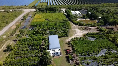 6747 W Carol Street Loxahatchee FL 33470