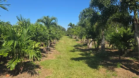 6747 W Carol Street Loxahatchee FL 33470