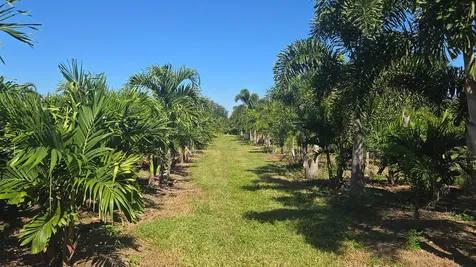 6747 W Carol Street Loxahatchee FL 33470