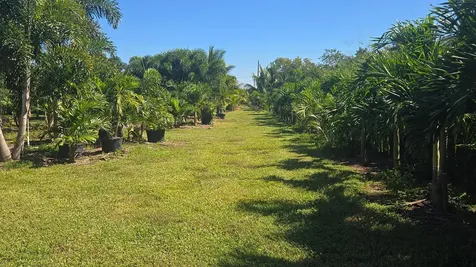 6747 W Carol Street Loxahatchee FL 33470