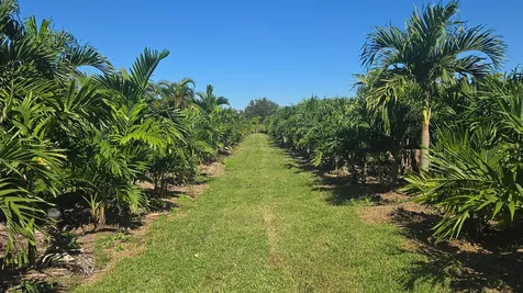 6747 W Carol Street Loxahatchee FL 33470