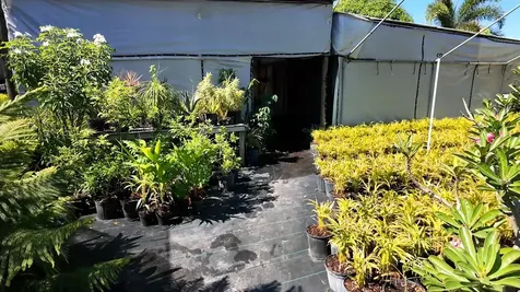 6747 W Carol Street Loxahatchee FL 33470