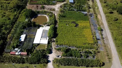6747 W Carol Street Loxahatchee FL 33470