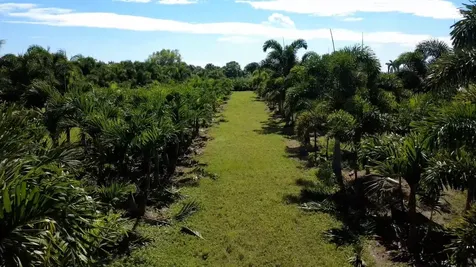 6747 W Carol Street Loxahatchee FL 33470