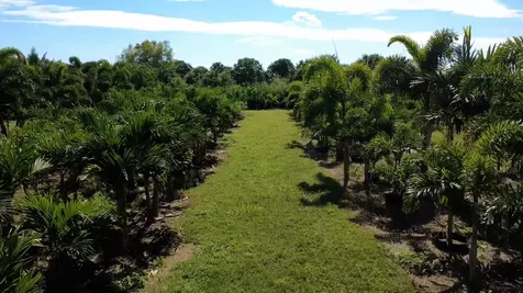 6747 W Carol Street Loxahatchee FL 33470
