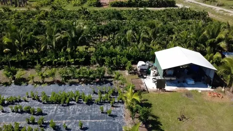 6747 W Carol Street Loxahatchee FL 33470
