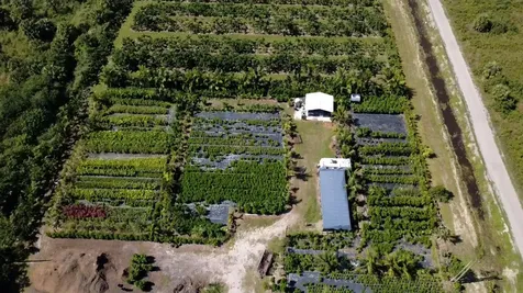 6747 W Carol Street Loxahatchee FL 33470