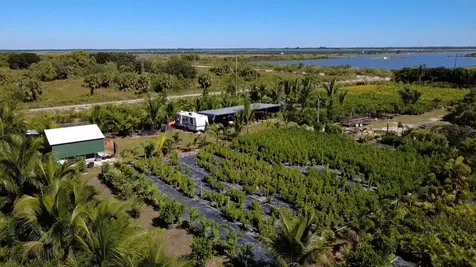 6747 W Carol Street Loxahatchee FL 33470