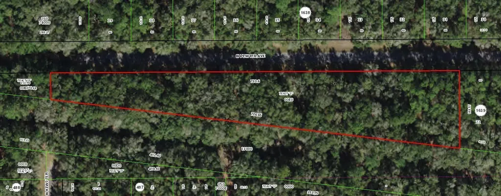 182 E Kingsdale Street Citrus Springs FL 34434