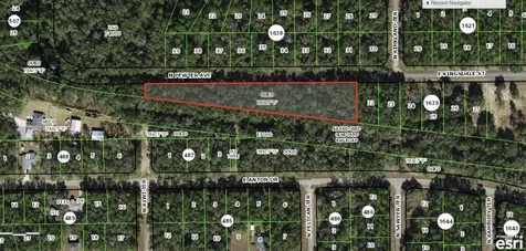 182 E Kingsdale Street Citrus Springs FL 34434
