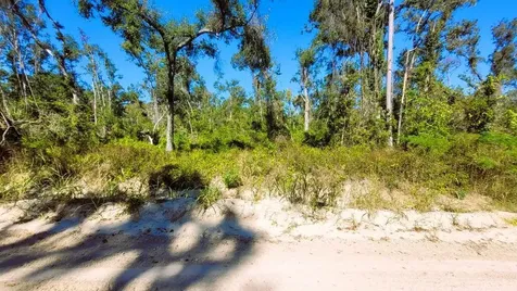 Lot 56 NW 29th Loop Jennings FL 32053