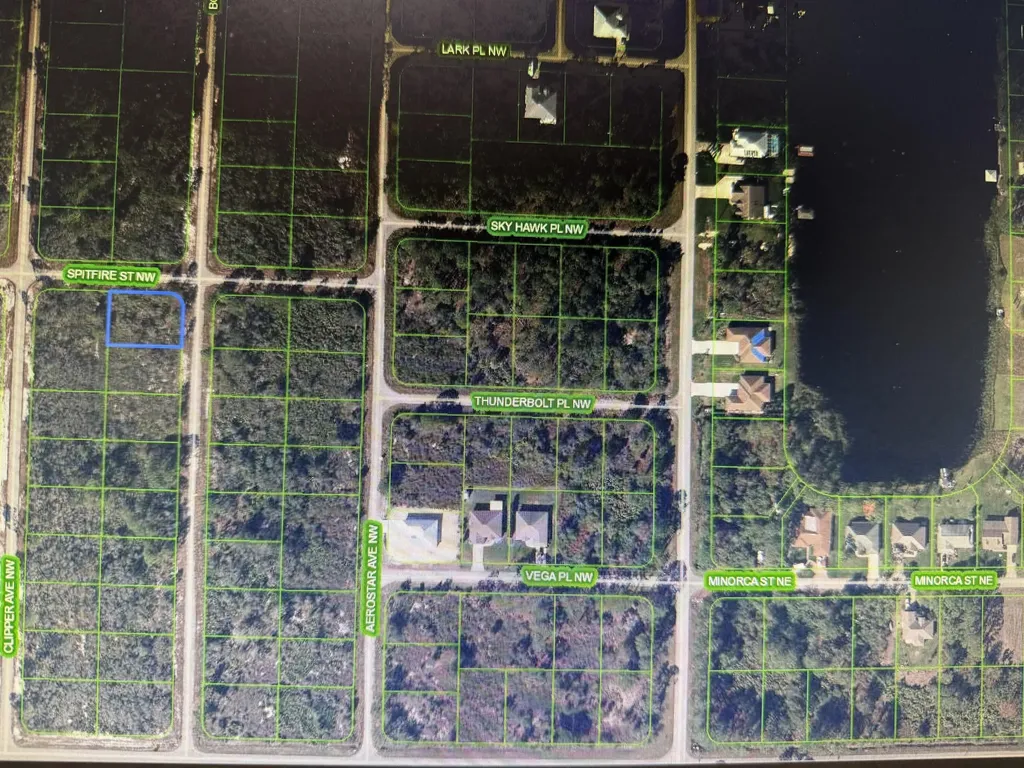 314 NW Spitfire Street Lake Placid FL 33852